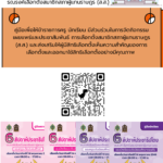 คู่มือ 6 สัปดาห์ประชาธิปไตย รณรงค์เลือกตั้งสมาชิกสภาผู้แทนราษฎร (ส.ส.)